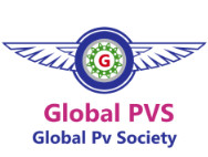 Global Pharmacovigilance Society
